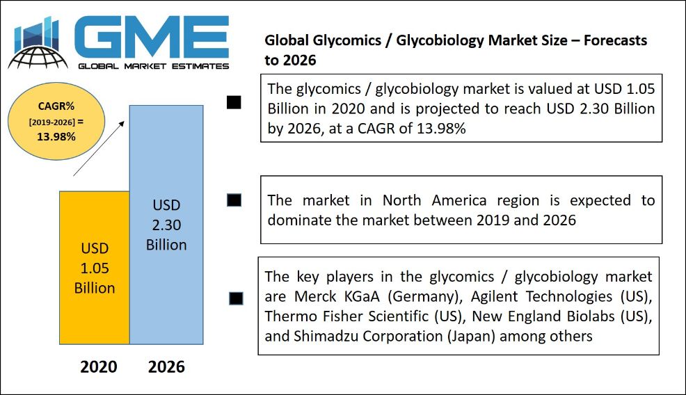 Glycomics / Glycobiology Market 